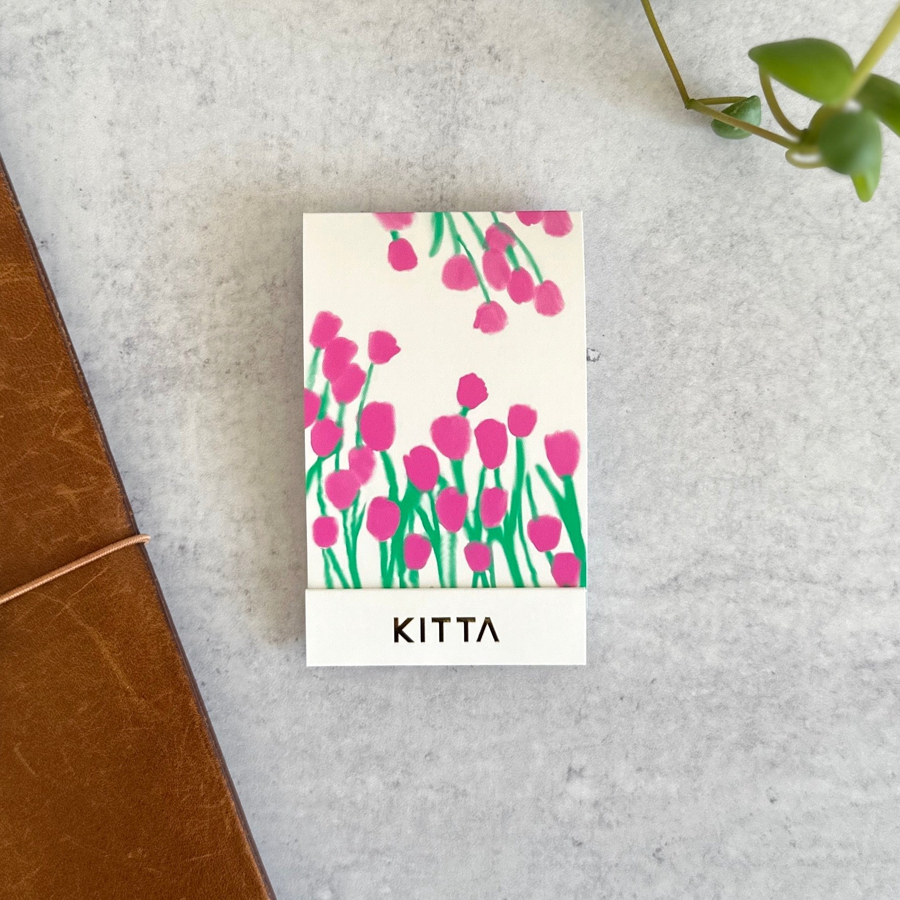 [KITTA] Lake